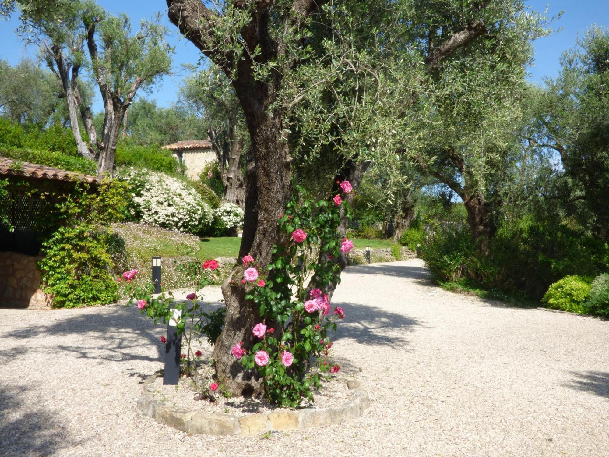 Apartment Picasso In Large Park With Heated Pool Chateauneuf-Grasse Екстериор снимка